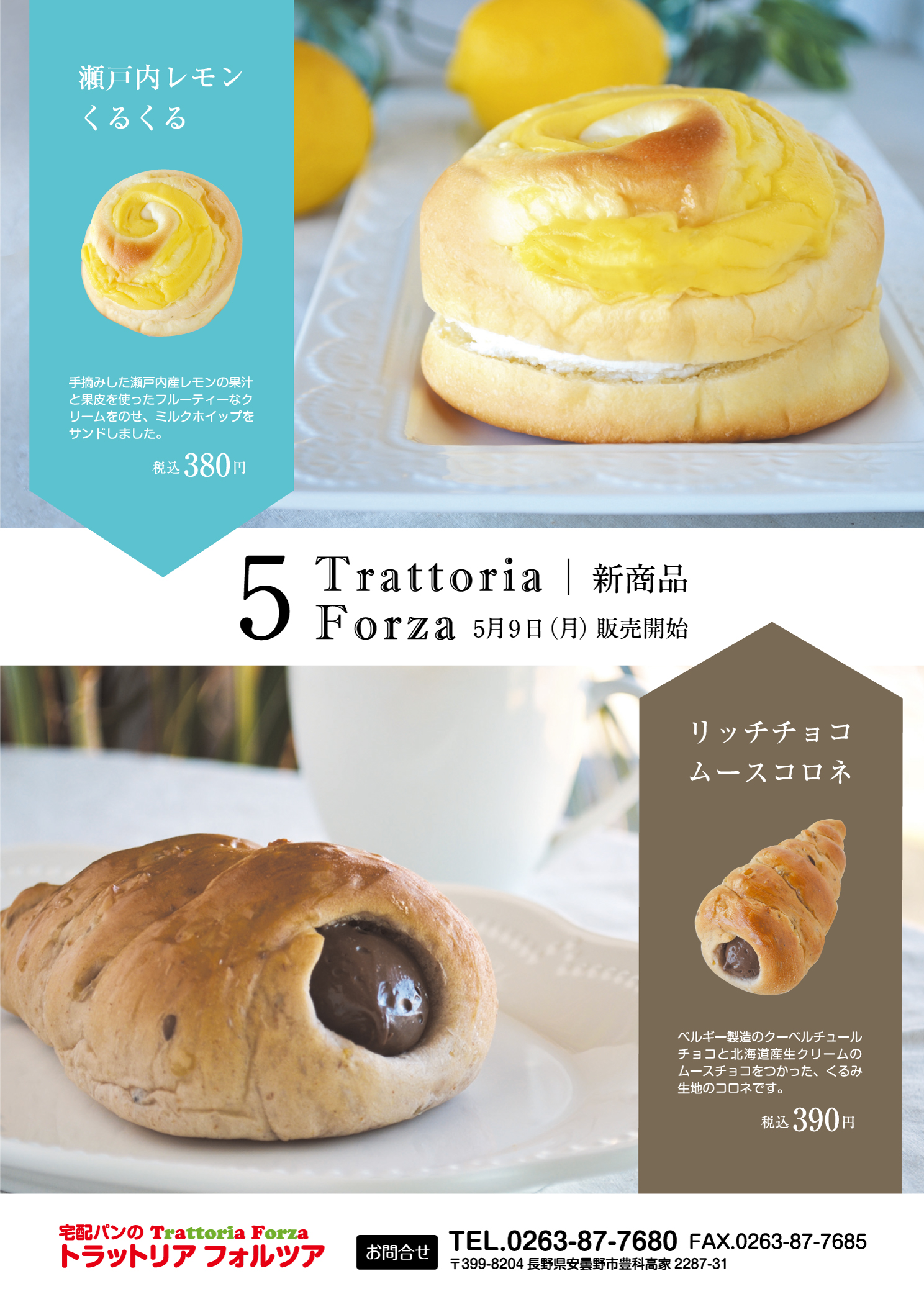新着情報|トラットリアフォルツア