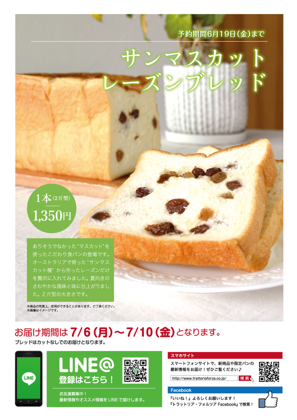 TF6月こだわり食パン-裏.jpg