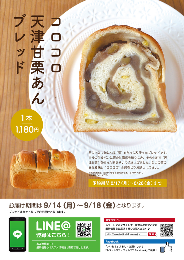 TF9月こだわり食パン-裏2020.jpg