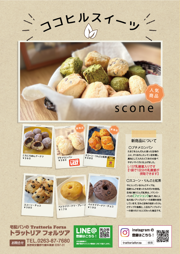 新商品発売20230828　裏ココヒル.png