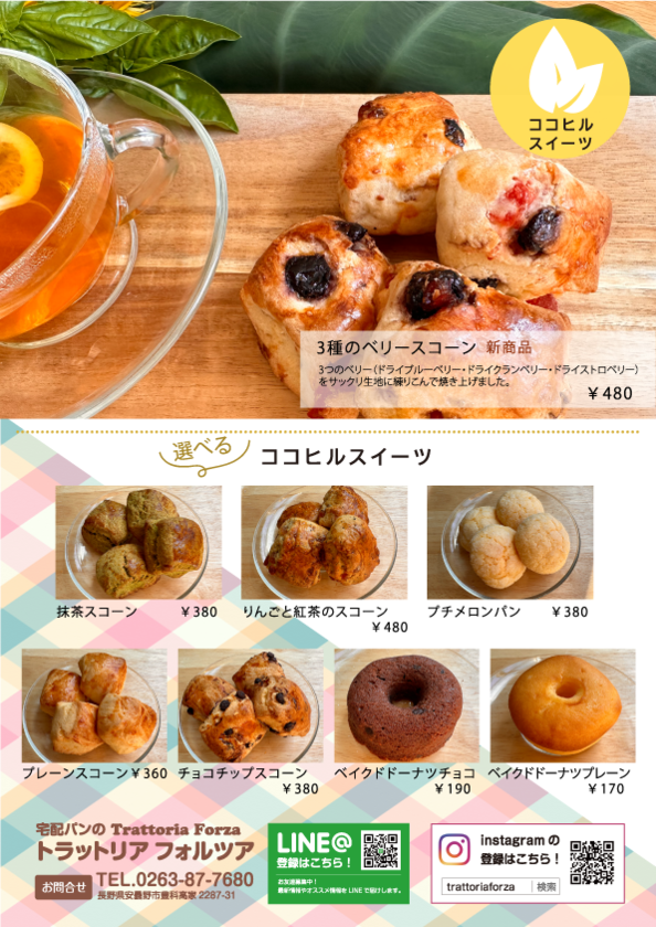 新商品案内20230925-裏ココヒル.png