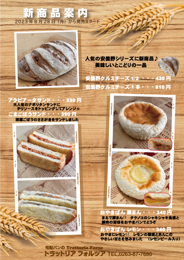 新着情報|トラットリアフォルツア